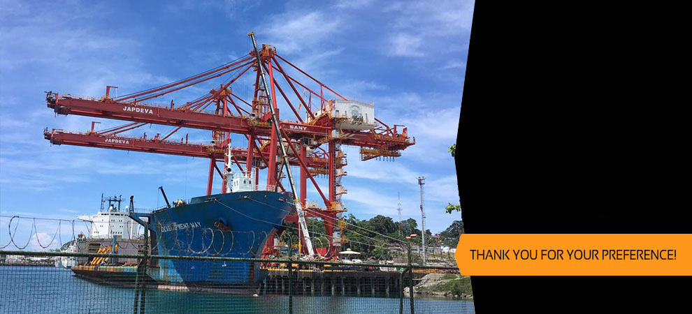 Rental of Telescopic Hydraulic Cranes, we cover the construction sector